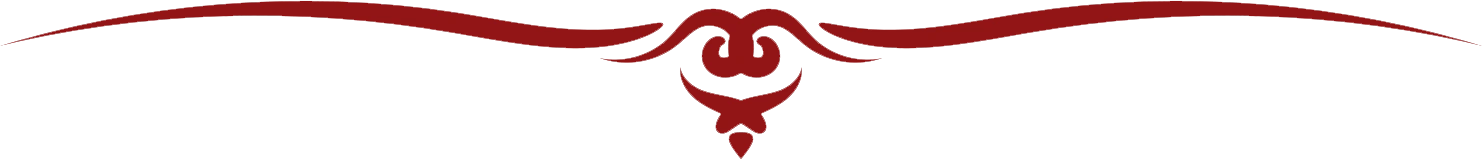 Marriage & Wedding Catering Service in Raipur